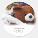 Zoek naar slaap stickers Gezelschapsdieren