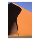 Recherche de dune de sable posters Orange