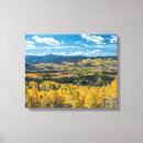 Recherche de arbre de tremble Rob tilley