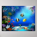 Recherche de monde marin posters Monde de la mer