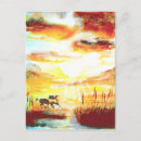 Recherche de cheval sauvage cartes postales Moderne