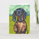 Zoek naar daschund kaarten Huisdier