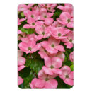 Recherche de cornouiller rose Fleurs