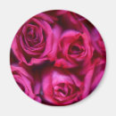 Recherche de macro de fleur magnets Botanique