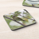 Zoek naar bier fotografie Vogel