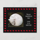 Recherche de photo de chat cartes postales Friend
