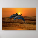 Recherche de de dauphin posters Amour