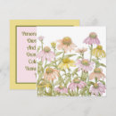 Recherche de coneflowers Echinacea