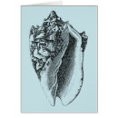 Zoek naar shells Seashell