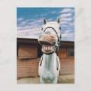 Recherche de mouth cartes postales Horse
