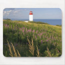 Recherche de martinique tapis souris Paysage