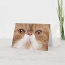 Recherche de cheveux vœux cartes Mignonette