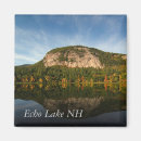 Zoek naar paarden magneten Mooi