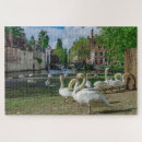 Recherche de cygne blanc puzzles Animal