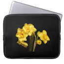 Recherche de jonquil coques Pour tous