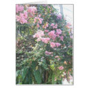 Recherche de serre chaude Fleurs