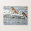 Zoek naar mississippi puzzels Fotografie