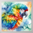 Zoek naar waterverf vogel posters Ara