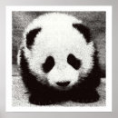 Zoek naar panda kunst Beer