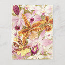 Recherche de orchidées roses cartes postales Toute personne