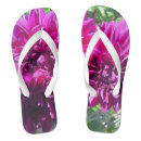 Recherche de dahlia pourpre Violet