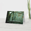 Recherche de pivert vœux cartes Hiver