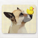 Recherche de le canard tapis souris Chien