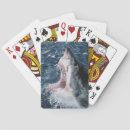 Recherche de mise jeux de cartes Superstock