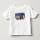 Recherche de bujaruelo tshirts Façade
