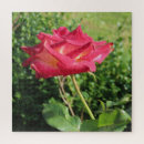 Recherche de pétales roses puzzles Pour elle