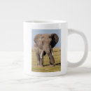 Recherche de agressif tasses Faune