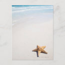 Recherche de riviera maya cartes postales Mexique