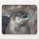 Recherche de loutres tapis souris Loutre de rivière