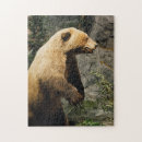 Zoek naar jag puzzels Beer