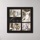 Recherche de photo de chien art Amour