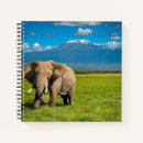 Recherche de éléphant carnets Paysage