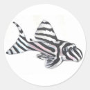 Recherche de poissons chat autocollants Pour tous