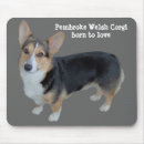 Recherche de gallois tapis souris Pembroke