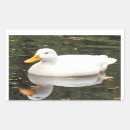 Recherche de canard blanc autocollants Oiseau