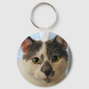 Recherche de chats gris porteclés Chat aux yeux verts