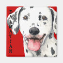 Recherche de cheminement magnets Chien