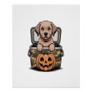 Recherche de chien brun posters Animal