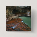 Recherche de fourche badges Ruisseau