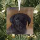 Recherche de animaux ornements Mignon