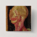 Recherche de anatomie badges Hieronymus