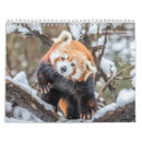 Recherche de de faune calendriers Ours