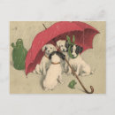 Zoek naar vintage honden briefkaarten Puppy
