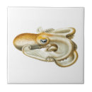 Zoek naar octopus tegels Oceaan