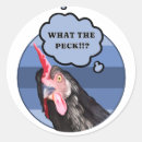 Zoek naar pikken stickers Kip