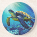 Recherche de tortues dessous de verres Décoration de plage